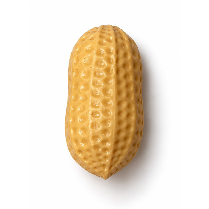 Squishy Peanut Juguete Antiestres