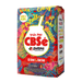 CBSé Yerba Mate Guarana 500G - Sabores Market